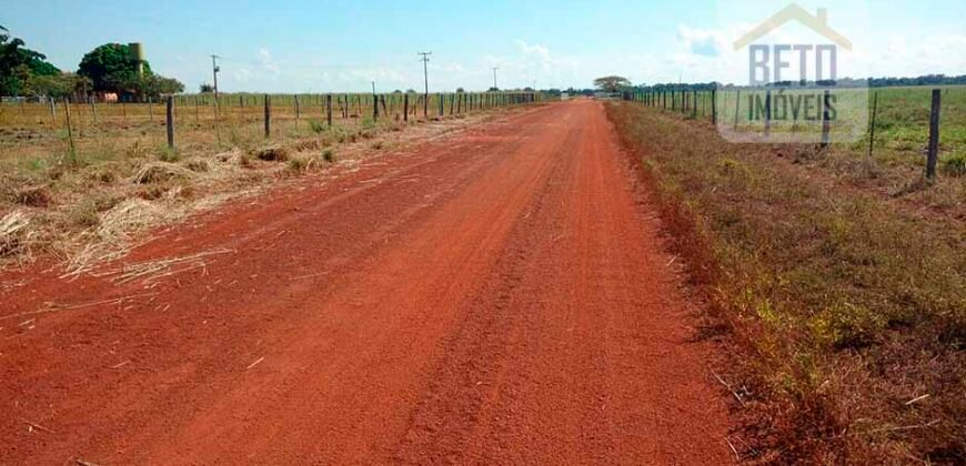 Fazenda para lavoura e pasto com toda infraestrutura 29.739 hectares | Bacia do Araguia – TO Fazenda para lavoura e pasto com toda infraestrutura 29.739 hectares | Bacia do Araguia – TO