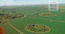 Fazenda para lavoura e pasto com toda infraestrutura 29.739 hectares | Bacia do Araguia – TO Fazenda para lavoura e pasto com toda infraestrutura 29.739 hectares | Bacia do Araguia – TO