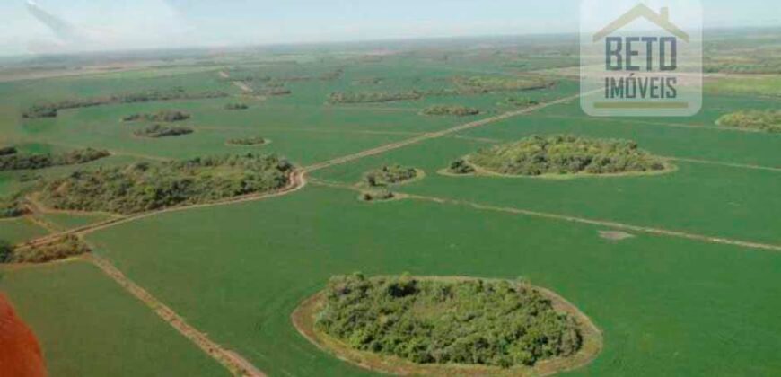 Fazenda para lavoura e pasto com toda infraestrutura 29.739 hectares | Bacia do Araguia – TO Fazenda para lavoura e pasto com toda infraestrutura 29.739 hectares | Bacia do Araguia – TO
