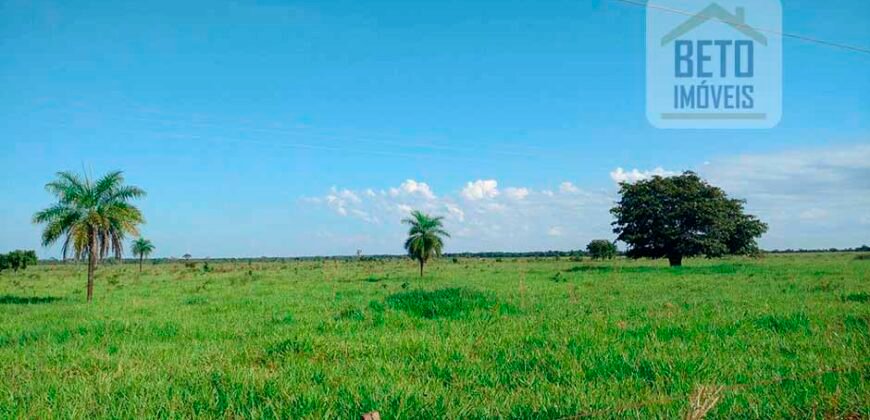 Fazenda para lavoura e pasto com toda infraestrutura 29.739 hectares | Bacia do Araguia – TO Fazenda para lavoura e pasto com toda infraestrutura 29.739 hectares | Bacia do Araguia – TO