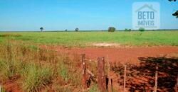 Fazenda para lavoura e pasto com toda infraestrutura 29.739 hectares | Bacia do Araguia – TO Fazenda para lavoura e pasto com toda infraestrutura 29.739 hectares | Bacia do Araguia – TO