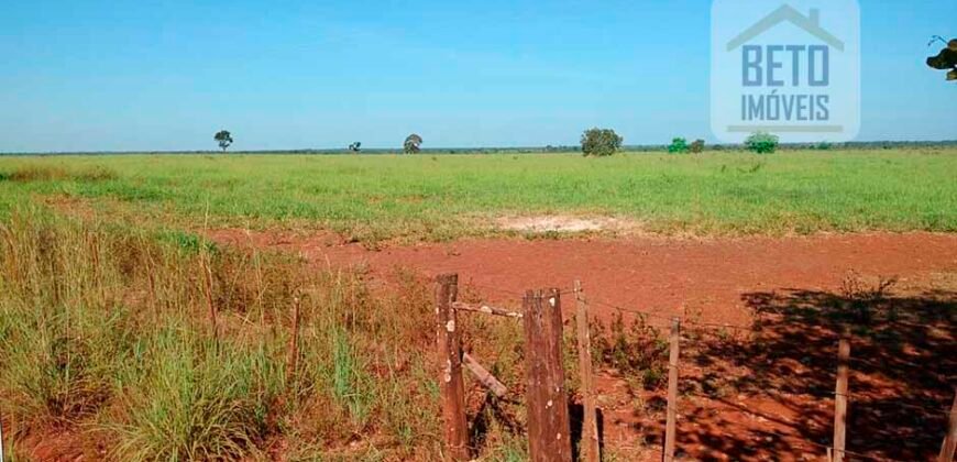 Fazenda para lavoura e pasto com toda infraestrutura 29.739 hectares | Bacia do Araguia – TO Fazenda para lavoura e pasto com toda infraestrutura 29.739 hectares | Bacia do Araguia – TO