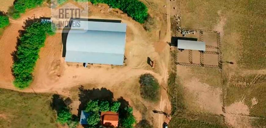 Fazenda para lavoura e pasto com toda infraestrutura 29.739 hectares | Bacia do Araguia – TO Fazenda para lavoura e pasto com toda infraestrutura 29.739 hectares | Bacia do Araguia – TO