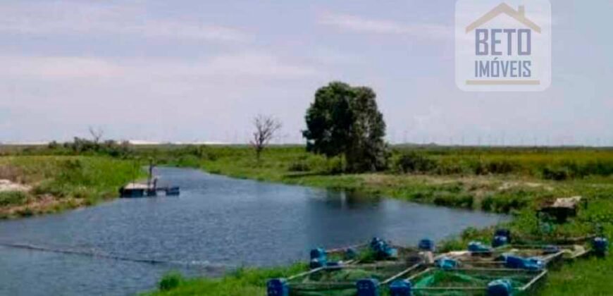 Fazenda para lavoura e pasto com toda infraestrutura 29.739 hectares | Bacia do Araguia – TO Fazenda para lavoura e pasto com toda infraestrutura 29.739 hectares | Bacia do Araguia – TO