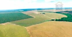 Fazenda para lavoura e pasto com toda infraestrutura 29.739 hectares | Bacia do Araguia – TO Fazenda para lavoura e pasto com toda infraestrutura 29.739 hectares | Bacia do Araguia – TO