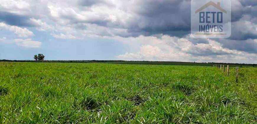 Fazenda para lavoura e pasto com toda infraestrutura 29.739 hectares | Bacia do Araguia – TO Fazenda para lavoura e pasto com toda infraestrutura 29.739 hectares | Bacia do Araguia – TO