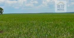 Fazenda para lavoura e pasto com toda infraestrutura 29.739 hectares | Bacia do Araguia – TO Fazenda para lavoura e pasto com toda infraestrutura 29.739 hectares | Bacia do Araguia – TO