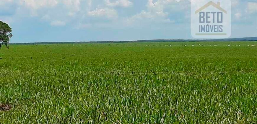 Fazenda para lavoura e pasto com toda infraestrutura 29.739 hectares | Bacia do Araguia – TO Fazenda para lavoura e pasto com toda infraestrutura 29.739 hectares | Bacia do Araguia – TO