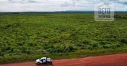 Fazenda para lavoura e pasto com toda infraestrutura 29.739 hectares | Bacia do Araguia – TO Fazenda para lavoura e pasto com toda infraestrutura 29.739 hectares | Bacia do Araguia – TO