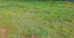 Fazenda para lavoura e pasto com toda infraestrutura 29.739 hectares | Bacia do Araguia – TO Fazenda para lavoura e pasto com toda infraestrutura 29.739 hectares | Bacia do Araguia – TO