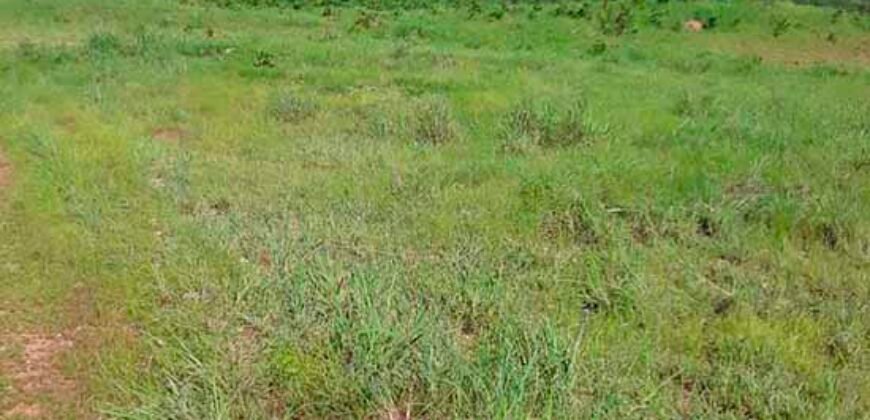 Fazenda para lavoura e pasto com toda infraestrutura 29.739 hectares | Bacia do Araguia – TO Fazenda para lavoura e pasto com toda infraestrutura 29.739 hectares | Bacia do Araguia – TO