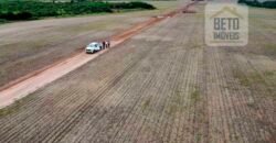 Fazenda para lavoura e pasto com toda infraestrutura 29.739 hectares | Bacia do Araguia – TO Fazenda para lavoura e pasto com toda infraestrutura 29.739 hectares | Bacia do Araguia – TO