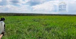 Fazenda para lavoura e pasto com toda infraestrutura 29.739 hectares | Bacia do Araguia – TO Fazenda para lavoura e pasto com toda infraestrutura 29.739 hectares | Bacia do Araguia – TO