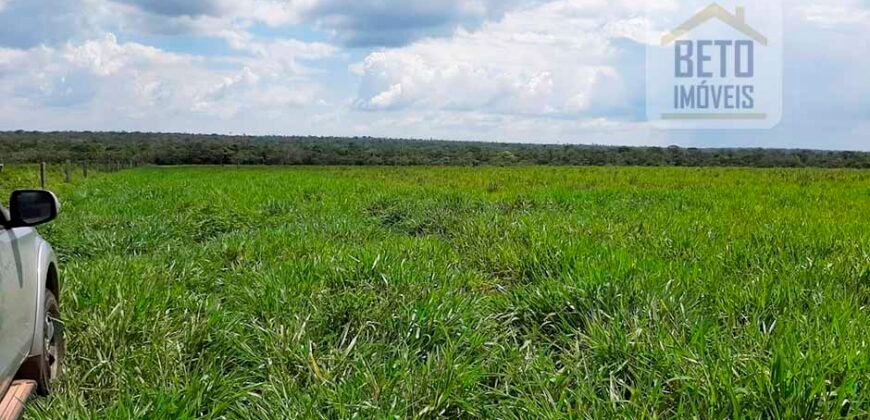 Fazenda para lavoura e pasto com toda infraestrutura 29.739 hectares | Bacia do Araguia – TO Fazenda para lavoura e pasto com toda infraestrutura 29.739 hectares | Bacia do Araguia – TO