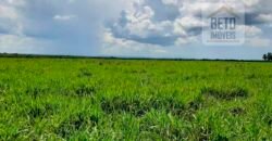 Fazenda para lavoura e pasto com toda infraestrutura 29.739 hectares | Bacia do Araguia – TO Fazenda para lavoura e pasto com toda infraestrutura 29.739 hectares | Bacia do Araguia – TO