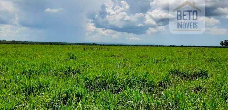 Fazenda para lavoura e pasto com toda infraestrutura 29.739 hectares | Bacia do Araguia – TO Fazenda para lavoura e pasto com toda infraestrutura 29.739 hectares | Bacia do Araguia – TO