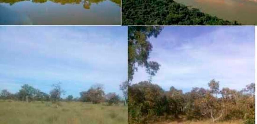 Fazenda Completa 40.600 hectares c pista de pouso e hangar | Pium/ TO