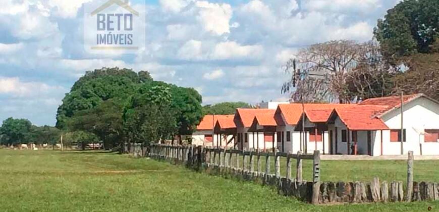 Fazenda Completa 40.600 hectares c pista de pouso e hangar | Pium/ TO