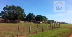 Fazenda Completa 40.600 hectares c pista de pouso e hangar | Pium/ TO