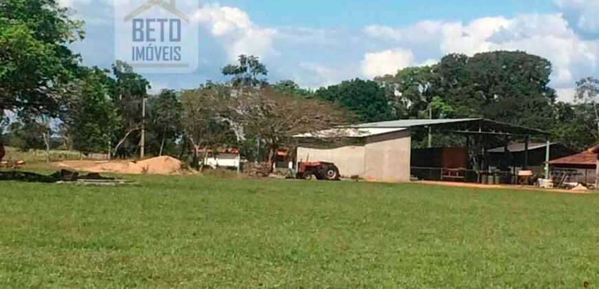 Fazenda Completa 40.600 hectares c pista de pouso e hangar | Pium/ TO