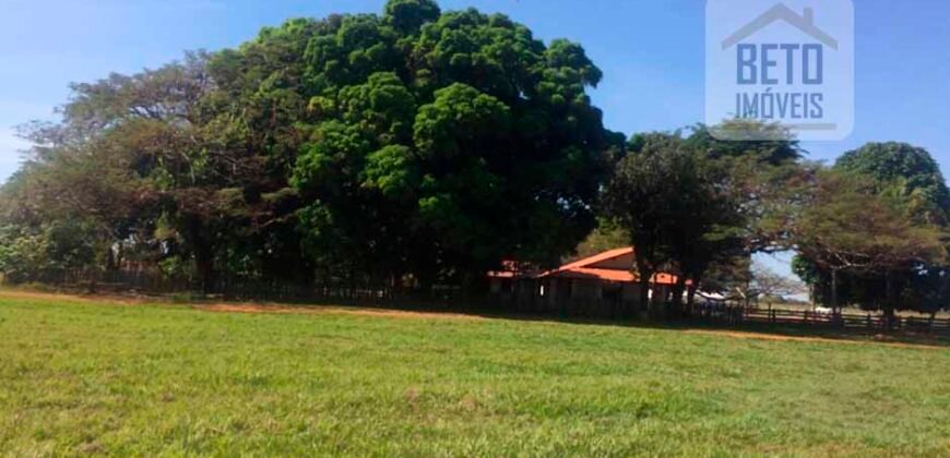 Fazenda Completa 40.600 hectares c pista de pouso e hangar | Pium/ TO