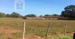 Fazenda Completa 40.600 hectares c pista de pouso e hangar | Pium/ TO