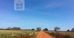 Fazenda Completa 40.600 hectares c pista de pouso e hangar | Pium/ TO