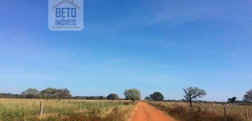 Fazenda Completa 40.600 hectares c pista de pouso e hangar | Pium/ TO