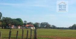 Fazenda Completa 40.600 hectares c pista de pouso e hangar | Pium/ TO