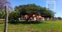 Fazenda Completa 40.600 hectares c pista de pouso e hangar | Pium/ TO