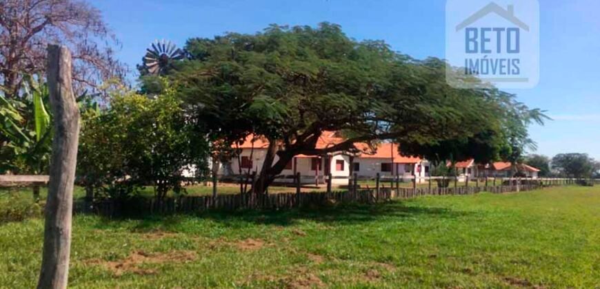 Fazenda Completa 40.600 hectares c pista de pouso e hangar | Pium/ TO