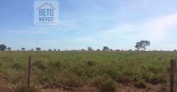 Fazenda Completa 40.600 hectares c pista de pouso e hangar | Pium/ TO