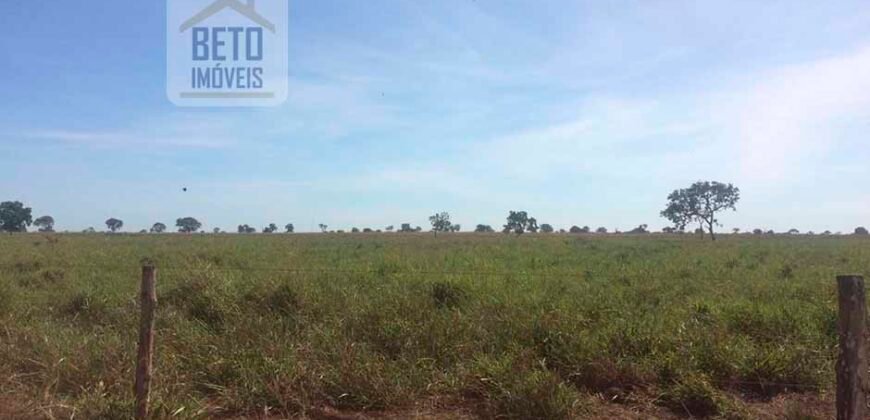 Fazenda Completa 40.600 hectares c pista de pouso e hangar | Pium/ TO