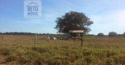 Fazenda Completa 40.600 hectares c pista de pouso e hangar | Pium/ TO