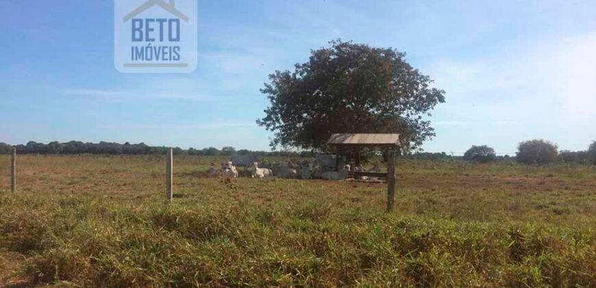 Fazenda Completa 40.600 hectares c pista de pouso e hangar | Pium/ TO