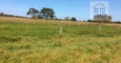 Fazenda Completa 40.600 hectares c pista de pouso e hangar | Pium/ TO