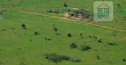 Fazenda à Venda Completíssima 149.166 hectares 4 Pistas de Pouso | Rondolândia/ MT