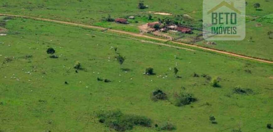 Fazenda à Venda Completíssima 149.166 hectares 4 Pistas de Pouso | Rondolândia/ MT