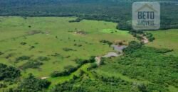 Fazenda à Venda Completíssima 149.166 hectares 4 Pistas de Pouso | Rondolândia/ MT