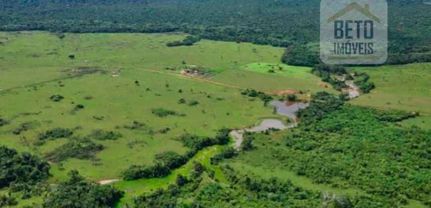 Fazenda à Venda Completíssima 149.166 hectares 4 Pistas de Pouso | Rondolândia/ MT