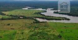 Fazenda à Venda Completíssima 149.166 hectares 4 Pistas de Pouso | Rondolândia/ MT