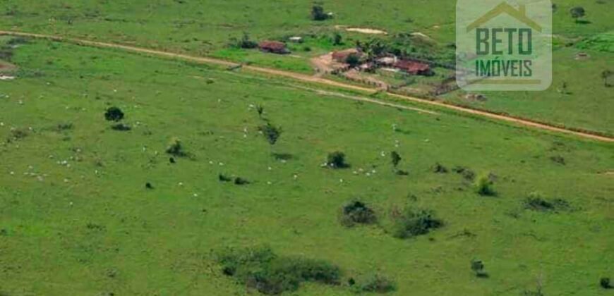 Fazenda à Venda Completíssima 149.166 hectares 4 Pistas de Pouso | Rondolândia/ MT