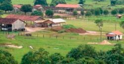 Fazenda à Venda Completíssima 149.166 hectares 4 Pistas de Pouso | Rondolândia/ MT
