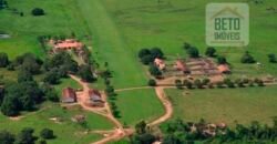 Fazenda à Venda Completíssima 149.166 hectares 4 Pistas de Pouso | Rondolândia/ MT