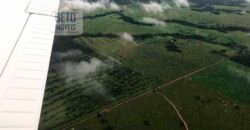 Fazenda à Venda Completíssima 149.166 hectares 4 Pistas de Pouso | Rondolândia/ MT
