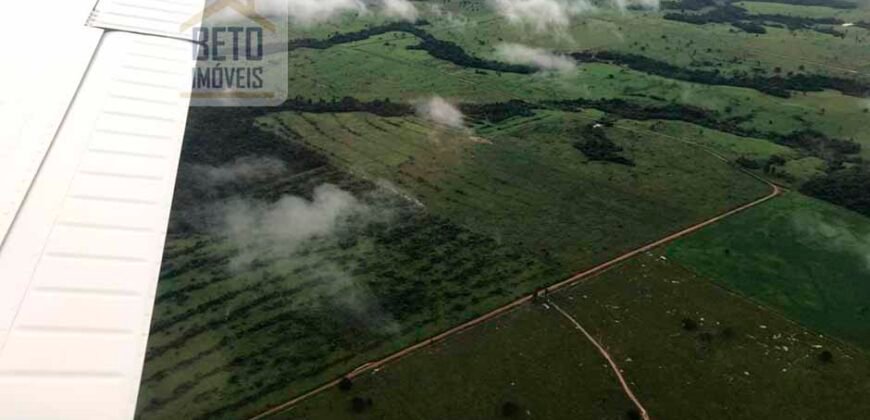 Fazenda à Venda Completíssima 149.166 hectares 4 Pistas de Pouso | Rondolândia/ MT