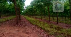 Fazenda Estruturada para Lavoura e Pasto c/ Maquinário 17.125 ha | Região de Araguaína – TO