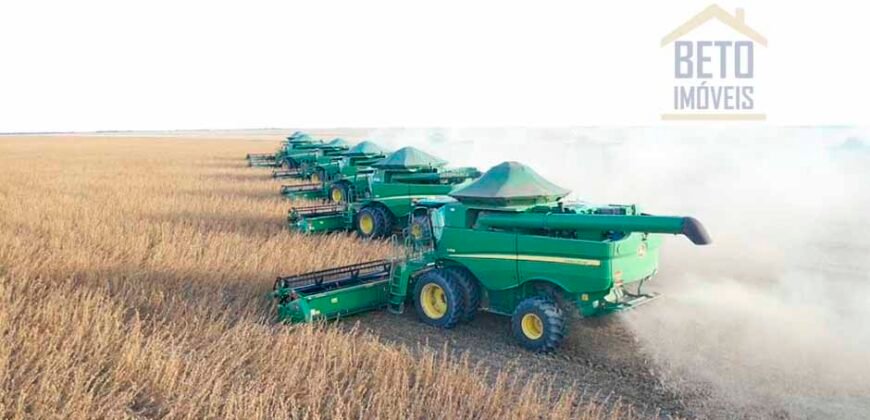 Fazenda Estruturada para Lavoura e Pasto c/ Maquinário 17.125 ha | Região de Araguaína – TO