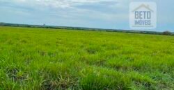 Fazenda Estruturada para Lavoura e Pasto c/ Maquinário 17.125 ha | Região de Araguaína – TO