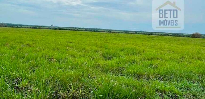 Fazenda Estruturada para Lavoura e Pasto c/ Maquinário 17.125 ha | Região de Araguaína – TO